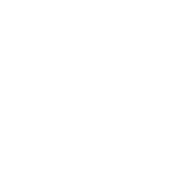 Africana Virtual Airways